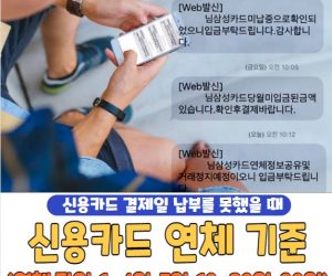 신용카드 연체 기준 총정리 | 신용카드 연체 하루, 5일, 10일, 한달