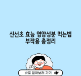 신선초 효능 영양성분 먹는법 부작용 총정리