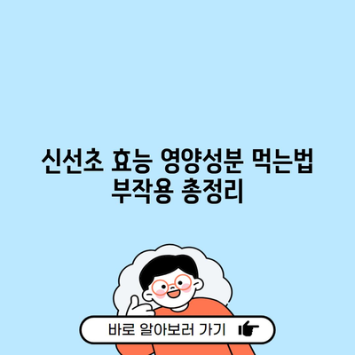 신선초 효능 영양성분 먹는법 부작용 총정리