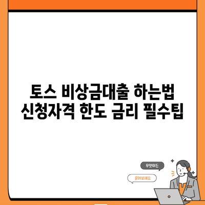 토스 비상금대출 하는법 신청자격 한도 금리 필수팁