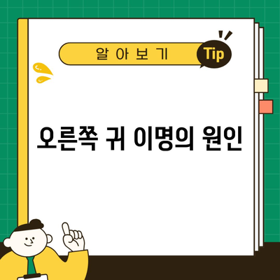 오른쪽 귀 이명의 원인