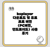 bsplayer 다운로드 및 유료 프로 버전 (PC버전, 안드로이드) 사용 후기