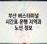 부산 버스터미널 시간표 운행 지역과 노선 정보