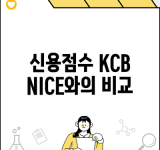 신용점수 KCB NICE와의 비교