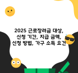 2025 근로장려금 대상, 신청 기간, 지급 금액, 신청 방법, 가구 소득 요건