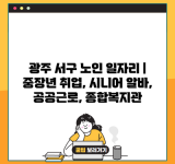 광주 서구 노인 일자리 | 중장년 취업, 시니어 알바, 공공근로, 종합복지관