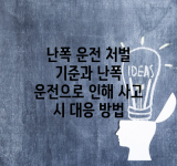 난폭 운전 처벌 기준과 난폭 운전으로 인해 사고 시 대응 방법