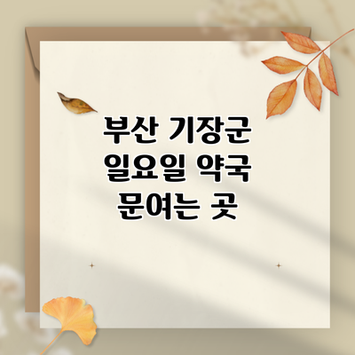 부산 기장군 일요일 약국 문여는 곳