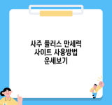 사주 플러스 만세력 사이트 사용방법 운세보기