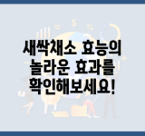 새싹채소 효능의 놀라운 효과를 확인해보세요!