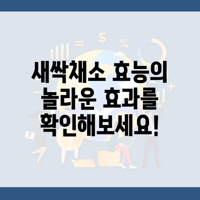 새싹채소 효능의 놀라운 효과를 확인해보세요!