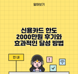 신용카드 한도 2000만원 후기와 효과적인 달성 방법