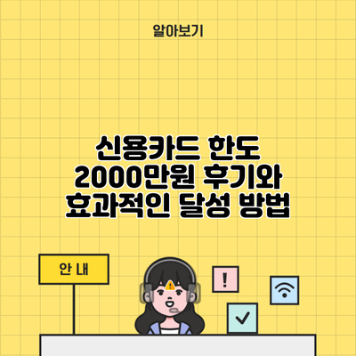 신용카드 한도 2000만원 후기와 효과적인 달성 방법