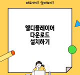 엘디플레이어 다운로드 설치하기