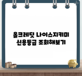 올크레딧 나이스지키미 신용등급 조회해보기