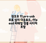 윈도우 11 pro usb 무료 설치 다운로드, ffp esd 리테일 정품 시디키 포함