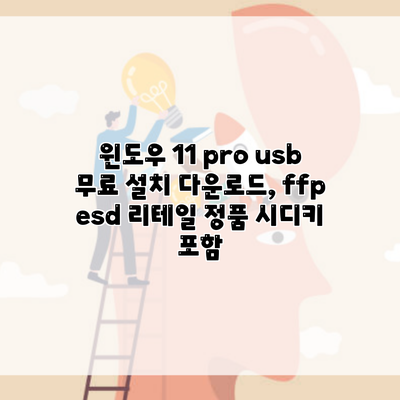 윈도우 11 pro usb 무료 설치 다운로드, ffp esd 리테일 정품 시디키 포함