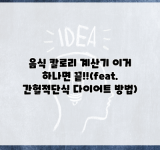 음식 칼로리 계산기 이거 하나면 끝!!(feat. 간헐적단식 다이어트 방법)