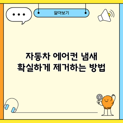 자동차 에어컨 냄새 확실하게 제거하는 방법