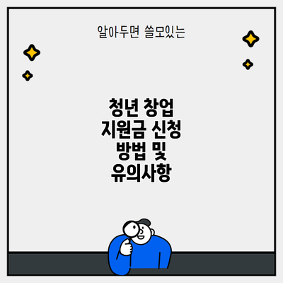 청년 창업 지원금 신청 방법 및 유의사항