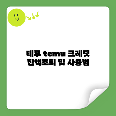 테무 temu 크레딧 잔액조회 및 사용법