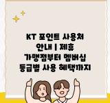 KT 포인트 사용처 안내 | 제휴 가맹점부터 멤버십 등급별 사용 혜택까지