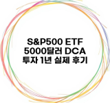 S&P500 ETF 5000달러 DCA 투자 1년 실제 후기