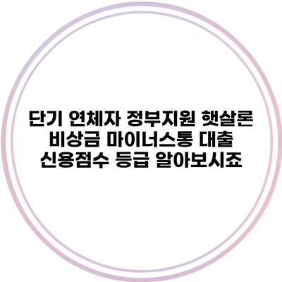 단기 연체자 정부지원 햇살론 비상금 마이너스통 대출 신용점수 등급 알아보시죠