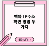 맥북 IP주소 확인 방법 두 가지