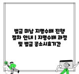 벌금 미납 지명수배 진행 절차 안내 | 지명수배 과정 및 벌금 공소시효기간