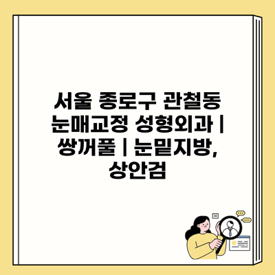 서울 종로구 관철동 눈매교정 성형외과 | 쌍꺼풀 | 눈밑지방, 상안검