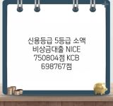 신용등급 5등급 소액 비상금대출 NICE 750804점 KCB 698767점