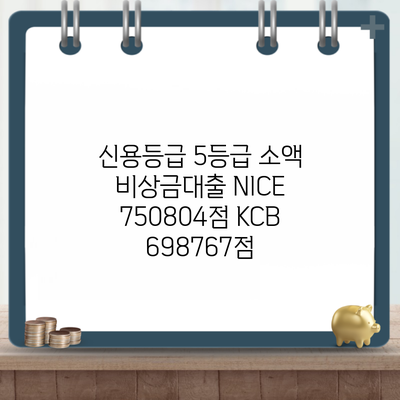 신용등급 5등급 소액 비상금대출 NICE 750804점 KCB 698767점