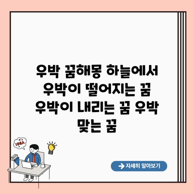 우박 꿈해몽 하늘에서 우박이 떨어지는 꿈 우박이 내리는 꿈 우박 맞는 꿈