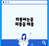 피똥싸는꿈 피똥꿈 해몽