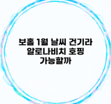 보홀 1월 날씨 건기라 알로나비치 호핑 가능할까