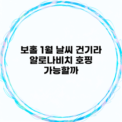 보홀 1월 날씨 건기라 알로나비치 호핑 가능할까