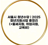 서울시 청년수당 | 2025 청년지원사업 총정리 (+월세지원, 취업지원, 교육비)