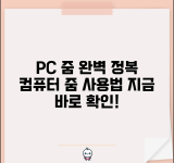 줌 미팅 PC 버전 | 줌 컴퓨터 사용법 완벽정리