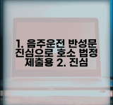 음주운전 반성문 법정 제출용 | 판사에게 호소하는 진심 어린 반성문 작성 가이드