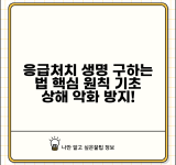 응급처치 목적과 기본 원칙 | 생명 구조와 상해 악화 방지를 위한 응급의료 기본 개념