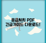 응급처치 매뉴얼 PDF 자료 | 상황별 응급처치 가이드북과 체크리스트 다운로드