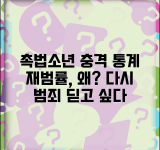 촉법소년 재범률 통계와 문제점 | 보호처분 후 다시 범죄 저지르는 비율과 원인