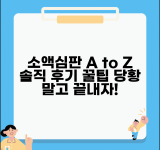 소액심판청구 디시 후기 | 소액심판 경험담 및 팁 공유
