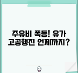 주유비 인상 언제까지? | 국제 유가 동향 및 국내 주유소 가격 추이