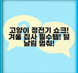 고양이 털에 정전기 심한데 해결법 있나요 | 고양이 정전기 | 겨울 관리 | 방지