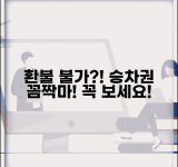 승차권 환불 불가 사례 모음 | 환불 거절 상황 및 대처 방법