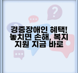 경증장애인 혜택 지원 | 경증 장애인 복지 혜택과 신청