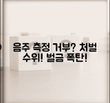 음주측정 거부 처벌 | 음주 측정 불응 처벌 수위 벌금