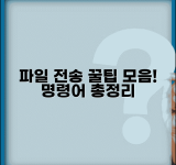 파일 전송 명령어 모음 | 커맨드라인 파일전송 명령어